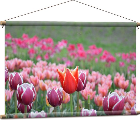 Textielposter - Veld Vol Bloeiende Tulpen in Verschillende Kleuren Roze - 90x60 cm Foto op Textiel