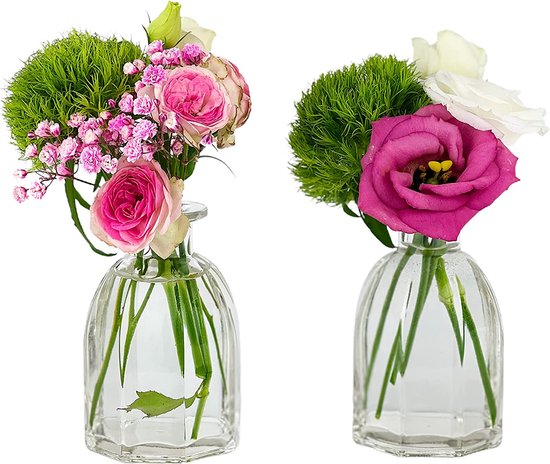 Casavetro - small vases glass bottles C-Deco TR wide neck including loop glass bottles Country house Vintage vase bottle glass clear mini milk bottles Deko bottles (24 pieces white