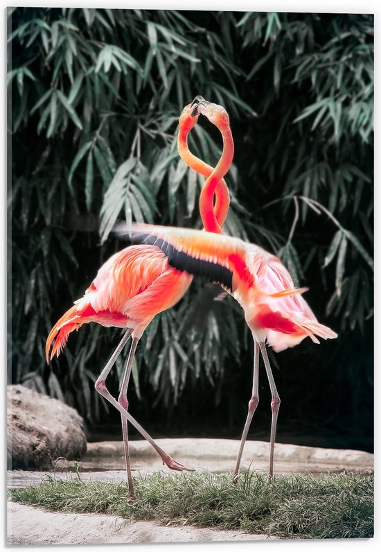 Acrylglas - Twee Felroze In elkaar Gewikkelde Flamingo's voor Groene Struik - 40x60 cm Foto op Acrylglas (Wanddecoratie op Acrylaat)