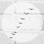 Muursticker Cirkel - Wegtrekkende Vogels in Witkleurige Lucht - 20x20 cm Foto op Muursticker