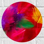 Muursticker Cirkel - Meerkleurige Veren in Felle Kleuren - 30x30 cm Foto op Muursticker