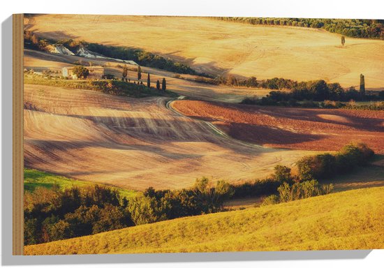 Hout - Natuurlandschap in de Zomerse Zonnestralen - 60x40 cm - 9 mm dik - Foto op Hout (Met Ophangsysteem)