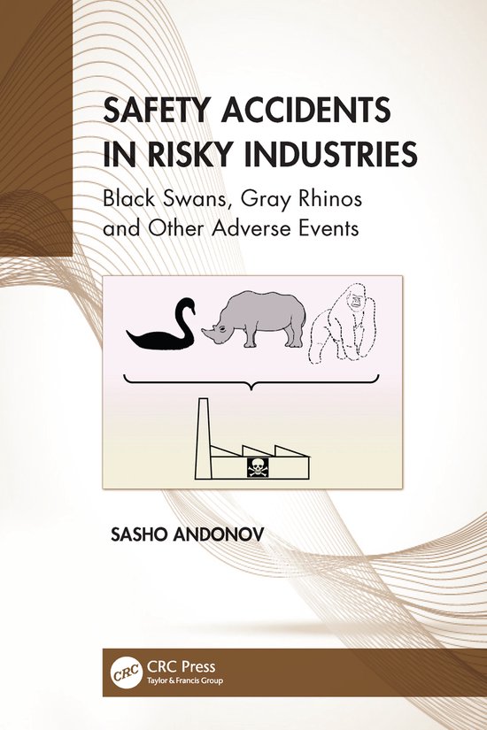 Developments in Quality and Safety- Safety Accidents in Risk ... - cover