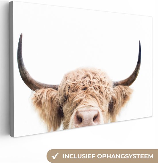 Canvas Schilderij Koe - Hoorns - Dieren - Natuur - 60x40 cm - Wanddecoratie