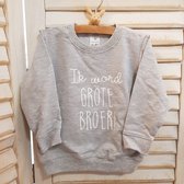 Sweater voor kind - Ik word grote broer - Grijs - Maat 74 - Big brother - Familie uitbreiding - Zwangerschap aankondiging