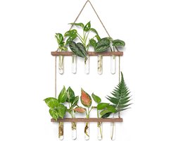 Stekstation - Stek station vaasjes - Stekjes - Stekken - Planten stekken - Stek vaasjes - Stek glaasjes - Steklab - Reageerbuisjes - Inclusief 10 buisjes - Ophangbaar - Hout - Glas - Bruin