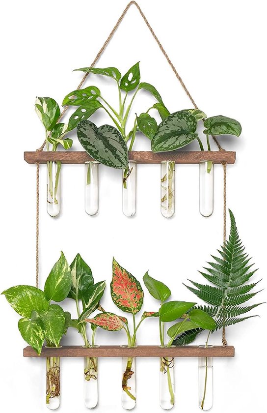 Stekstation - Stek station vaasjes - Stekjes - Stekken - Planten stekken - Stek vaasjes - Stek glaasjes - Steklab - Reageerbuisjes - Inclusief 10 buisjes - Ophangbaar - Hout - Glas - Bruin