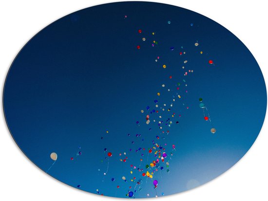 Dibond Ovaal - Lucht Vol Gekleurde Ballonnen - 108x81 cm Foto op Ovaal (Met Ophangsysteem)