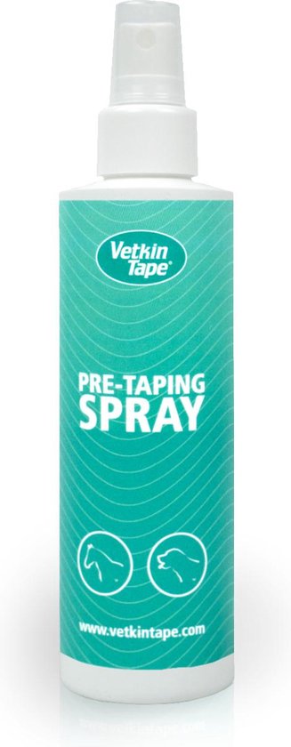 Clean Coat Pre-Taping Spray 200 ml