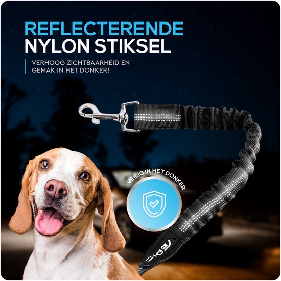 Beagle hond met reflecterende zwarte hondenriem, voor extra zichtbaarheid in het donker.