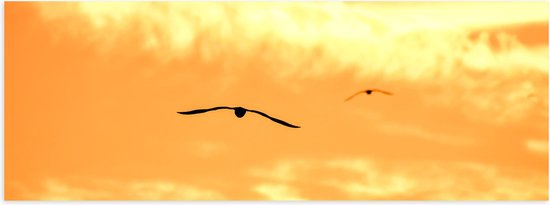 Poster (Mat) - Silhouet van Vogels Vliegend in Oranje Lucht - 60x20 cm Foto op Posterpapier met een Matte look