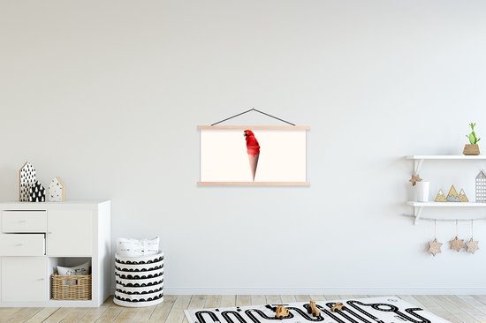 Posterhanger incl. Poster 90x45 cm - Schoolplaat - IJs - Papegaai - Rood - IJshoorntjes - Wit - Textielposter - Blanke latten