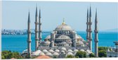 Acrylglas - Sultan Ahmet Moskee aan de Zee van Turkije - 100x50 cm Foto op Acrylglas (Met Ophangsysteem)