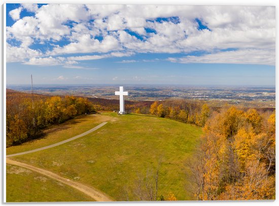 PVC Schuimplaat - The Great Cross of Christ in Pennsylvania, Verenigde Staten - 40x30 cm Foto op PVC Schuimplaat (Met Ophangsysteem)