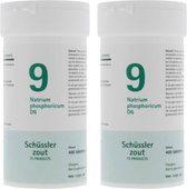 Pfluger Schussler Zout nr 9 Natrium Phosphoricum D6 - 2 x 400 tabletten