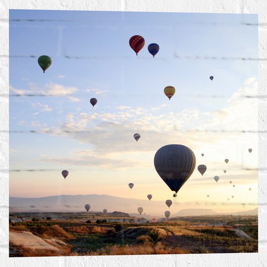 WallClassics - Muursticker - Zee van Verschillende Kleuren Luchtballonnen boven Natuur Landschap - 50x50 cm Foto op Muursticker