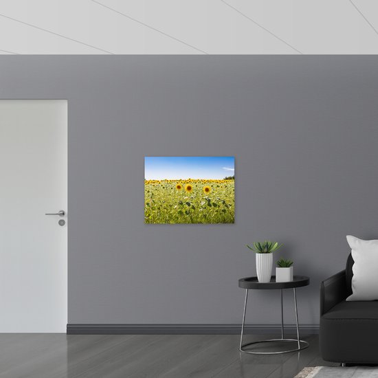 WallClassics - Panneau de mousse PVC - Champ de tournesols matures sous un ciel bleu éclatant - Photo 80 x 60 cm sur panneau de mousse PVC (avec système de suspension)