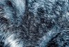 Fotobehang - Vlies Behang - Wolvenvacht - Dierenhuid - Vacht van een Wolf - 254 x 184 cm
