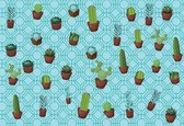 Fotobehang - Vlies Behang - Cactussen op een Blauwe Geometrische Achtergrond - 416 x 290 cm