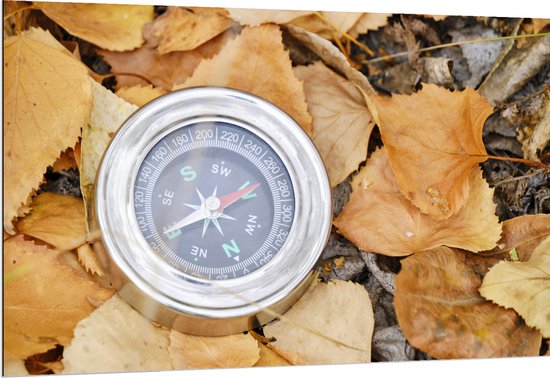 WallClassics - Dibond - Traditioneel Kompas op Stapel Herfstbladeren - 150x100 cm Foto op Aluminium (Wanddecoratie van metaal)