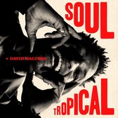 David Walters - Soul Tropical (2 LP)
