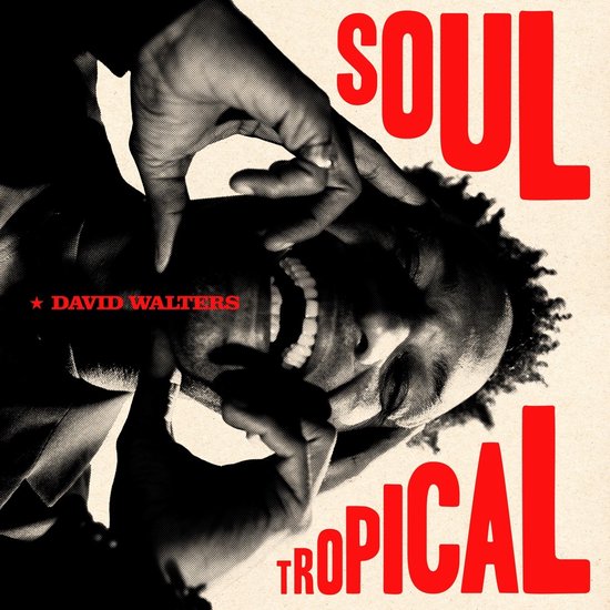 David Walters - Soul Tropical (2 LP)