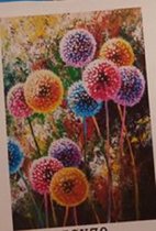 Diamond painting afmeting 50x 70cm - kleurrijke bloemen