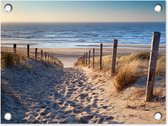 Affiche de jardin plage et dunes - Plage - Nederland - Plantes - Nature - Mer - Toile jardin - Jardin - Décoration clôture - Toile clôture - 40x30 cm - Peinture jardin extérieur - Décoration de jardin