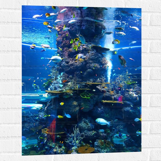Muursticker - Verschillende Soorten Vissen Zwemmend Rond Koraal - 60x80 cm Foto op Muursticker