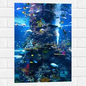 Muursticker - Verschillende Soorten Vissen Zwemmend Rond Koraal - 40x60 cm Foto op Muursticker