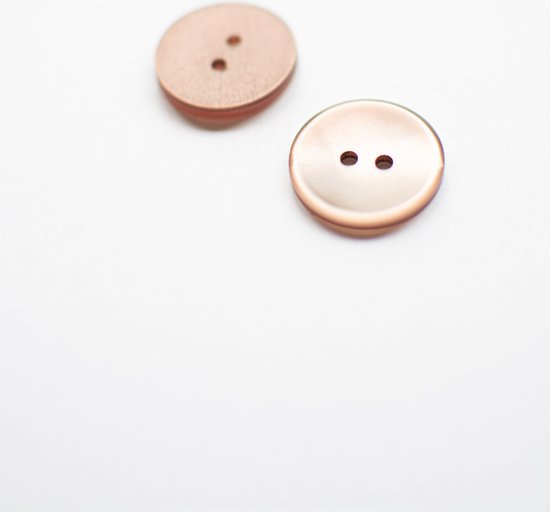 10 stuks bruine kunststof knopen hertshoorn-look imitatie 2 gaten