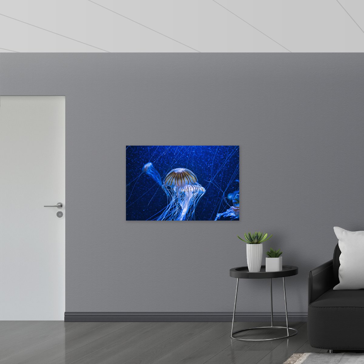 Vlag - Wit met Bruine Kwallen Zwemmend in Aquarium - 105x70 cm Foto op Polyester Vlag