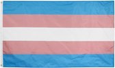 Transgender LGBT Pride Vlag 90x150CM