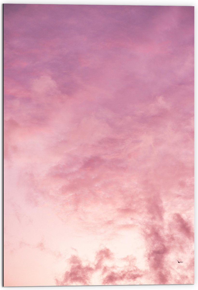 Dibond - Zachtroze Lucht met Sluierbewolking - 70x105 cm Foto op Aluminium (Wanddecoratie van metaal)