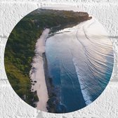 Muursticker Cirkel - Bovenaanzicht Strand bij de Bossen - 20x20 cm Foto op Muursticker