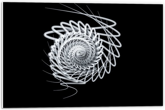 PVC Schuimplaat- Wit Slakvormig Object tegen Zwarte Achtergrond - 60x40 cm Foto op PVC Schuimplaat