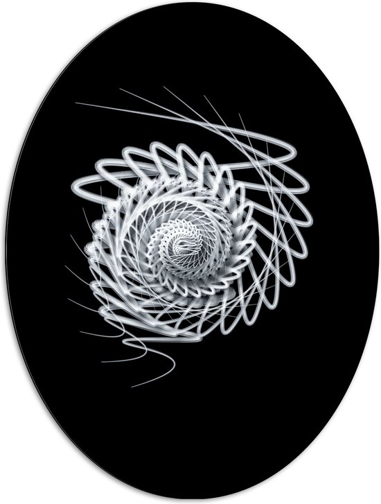 Dibond Ovaal - Wit Slakvormig Object tegen Zwarte Achtergrond - 72x96 cm Foto op Ovaal (Met Ophangsysteem)