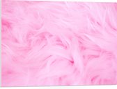 PVC Schuimplaat- Roze Veren - 80x60 cm Foto op PVC Schuimplaat