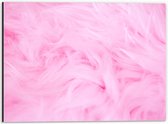 Dibond - Roze Veren - 40x30 cm Foto op Aluminium (Wanddecoratie van metaal)