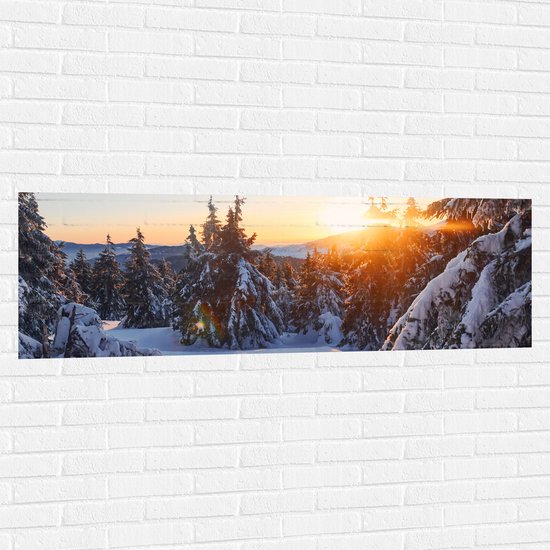 Muursticker - Zonsondergang achter Bomen in Besneeuwd Landschap - 150x50 cm Foto op Muursticker