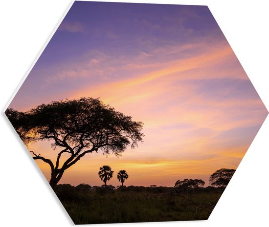 PVC Schuimplaat Hexagon - Zonsopkomst achter Bomen tijdens Zonsopkomst in Murchison Falls, Uganda - 50x43.5 cm Foto op Hexagon (Met Ophangsysteem)