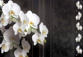 Fotobehang Flowers Floral Orchids Pattern | XXL - 206cm x 275cm | 130g/m2 Vlies