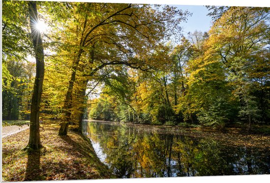 PVC Schuimplaat - Zonnestralen door de Bladeren van de Bomen op Sloot - 120x80 cm Foto op PVC Schuimplaat (Met Ophangsysteem)