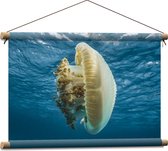 Textielposter - Zwemmende Grote Kwal met Tentakels - 60x40 cm Foto op Textiel