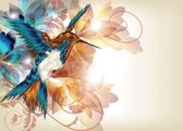 Fotobehang Birds Hummingbirds Flowers Abstract | PANORAMIC - 250cm x 104cm | 130g/m2 Vlies