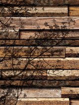 Fotobehang Wood Planks Texture Tree Shadow | XXL - 206cm x 275cm | 130g/m2 Vlies