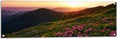 Tuinposter – Zonsondergang Verdwijnend achter Gebergte vol Paarse Bloemen - 120x40 cm Foto op Tuinposter (wanddecoratie voor buiten en binnen)
