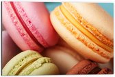 Dibond - Close-up van Verschillende Smaken Macarons Koekjes - 60x40 cm Foto op Aluminium (Met Ophangsysteem)