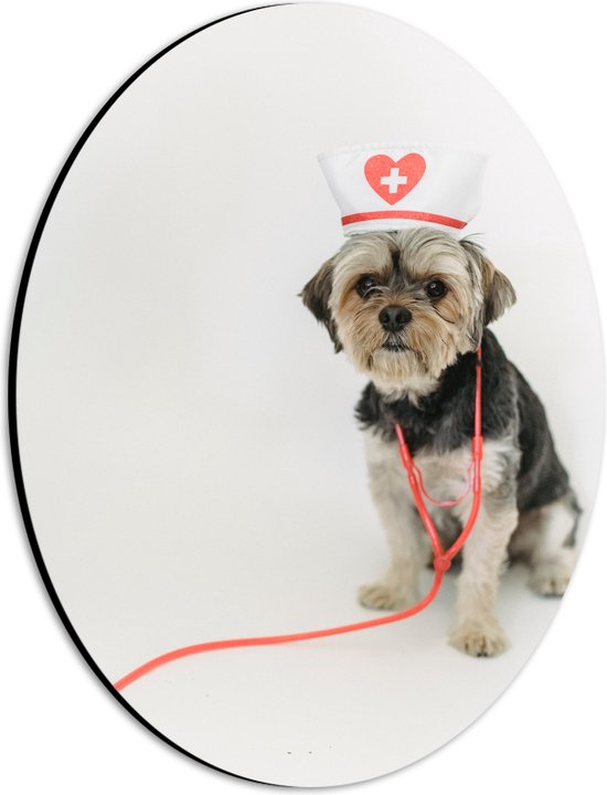 Dibond Ovaal - Hond Verkleed als Verpleegkundige tegen Witte Achtergrond - 21x28 cm Foto op Ovaal (Met Ophangsysteem)