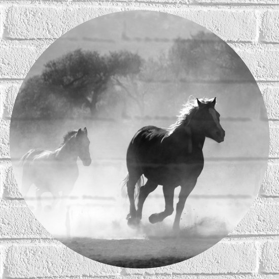 Muursticker Cirkel - Galopperende Kudde Paarden langs Bosrand (Zwart- wit) - 50x50 cm Foto op Muursticker